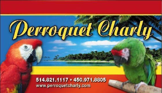 logoperroquet.jpg