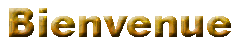 bienvenue.gif